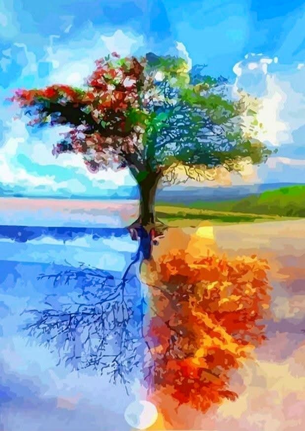 - - Gallery image from Tobias Weiss portfolio